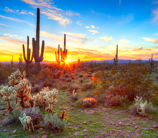 Arizona Sign Association